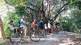 Siam Bike Tours and Road Bike Rentals thumb 7